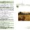 Feuille paroissiale N°41